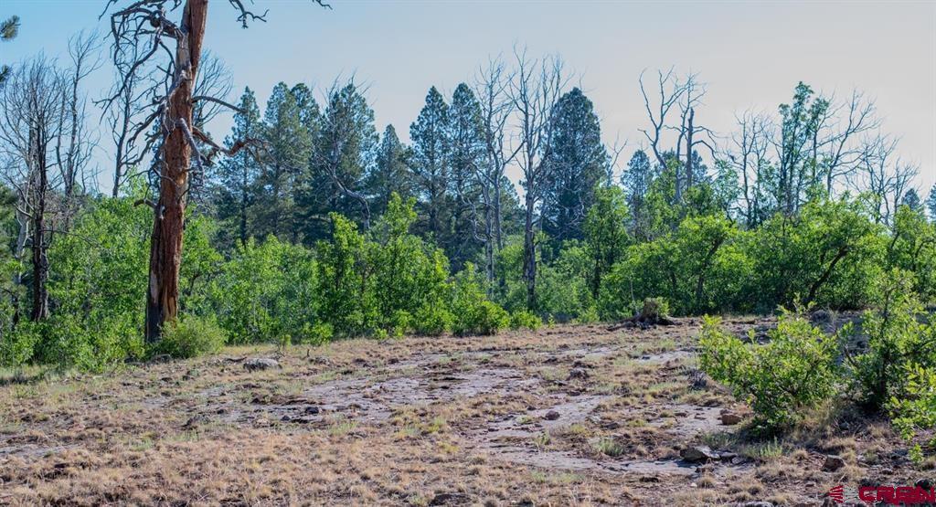 Tbd Road N Property Photo 38