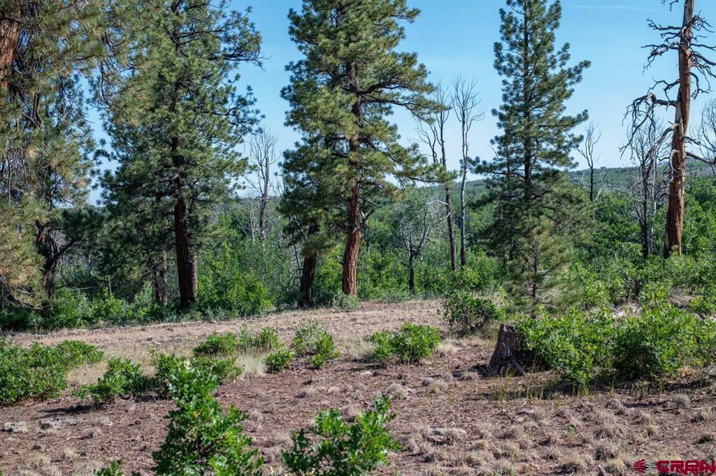 Tbd Road N Property Photo 39