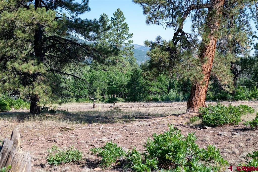 Tbd Road N Property Photo 40