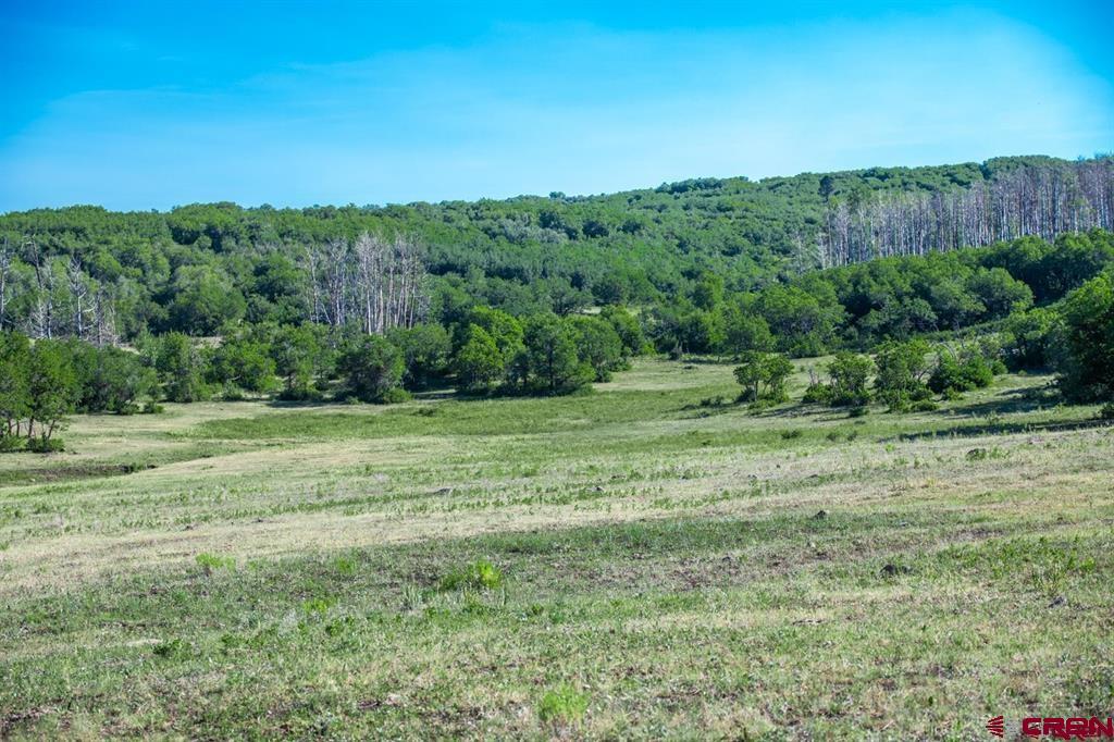 Tbd Road N Property Photo 41