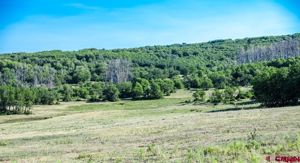 Tbd Road N Property Photo 42