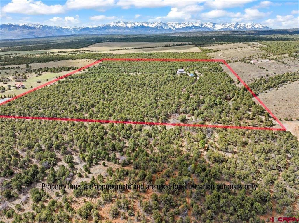 250 Sue Bob Court Property Photo 39