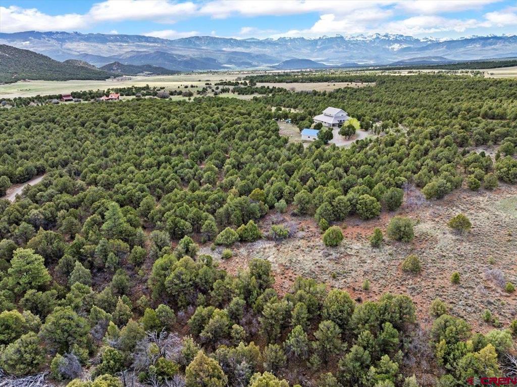 250 Sue Bob Court Property Photo 41