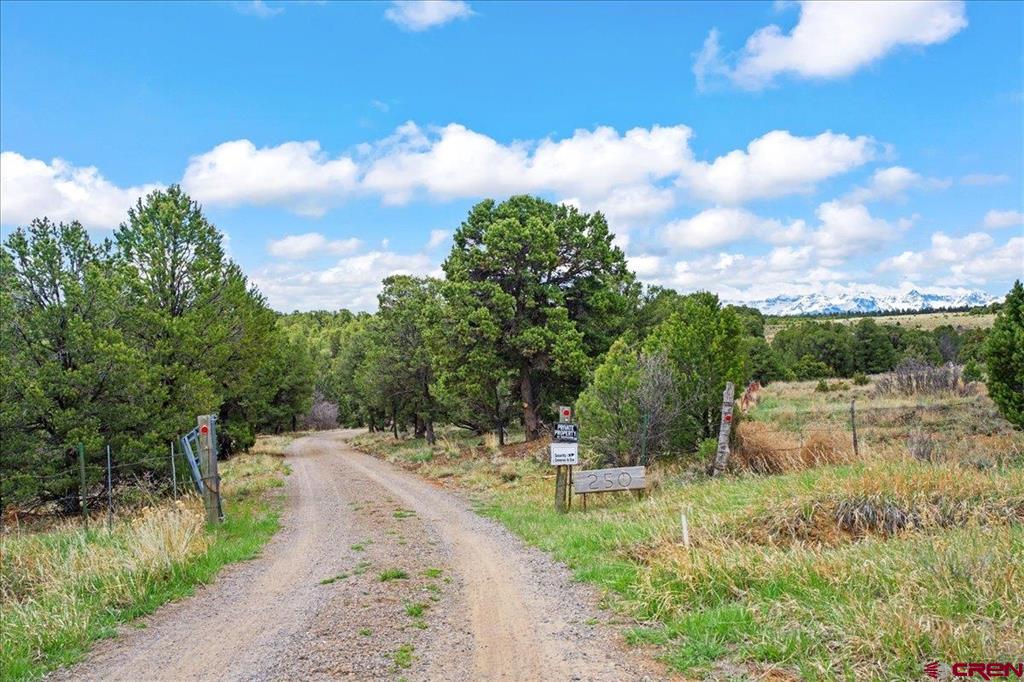 250 Sue Bob Court Property Photo 45