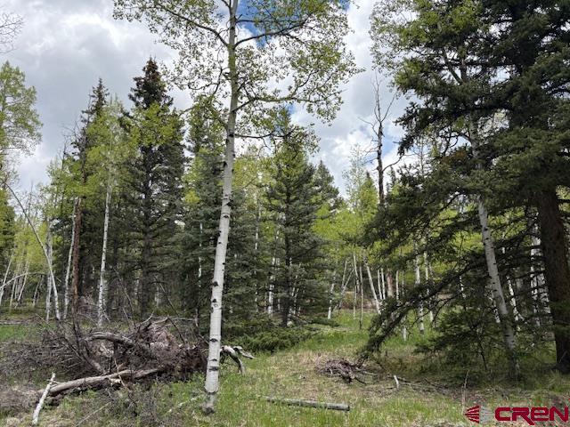 Tbd Adams Property Photo 3