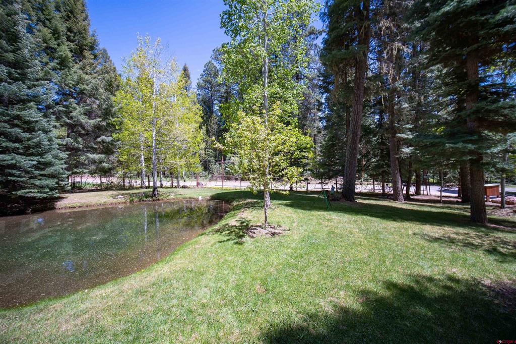 1429 County Road 500 Property Photo 22