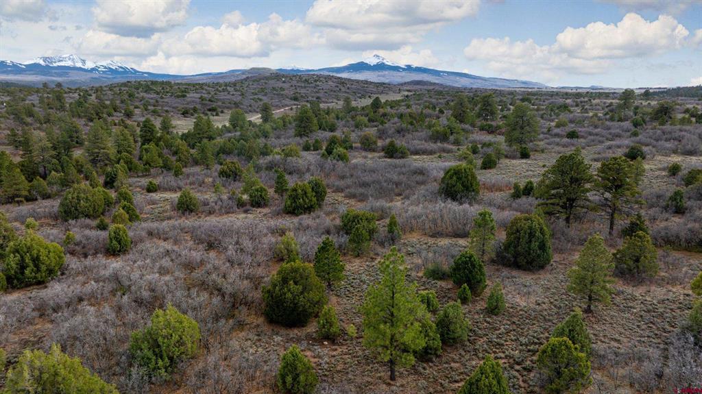 458 E Beaver Pines Loop Property Photo 7