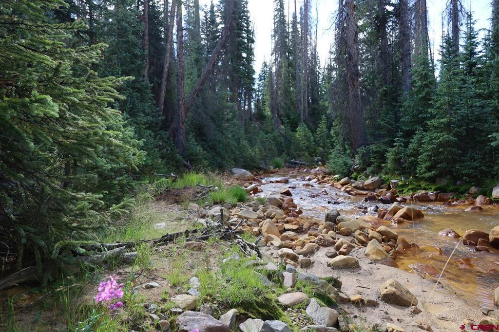 X1&2 Forest Service Road 380 Property Photo 2