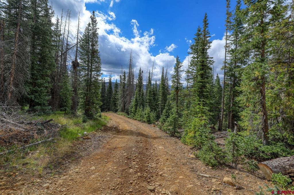 X1&2 Forest Service Road 380 Property Photo 7