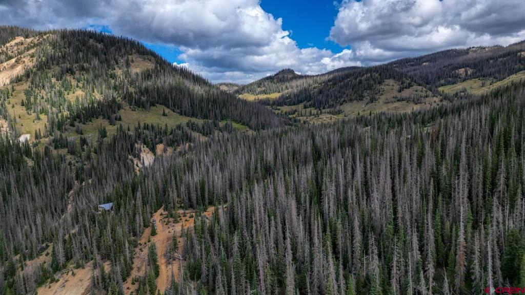 X1&2 Forest Service Road 380 Property Photo 13
