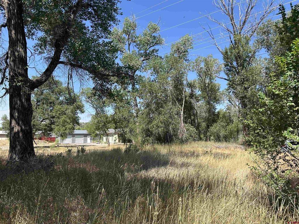 498 Niagara Avenue Property Photo 2