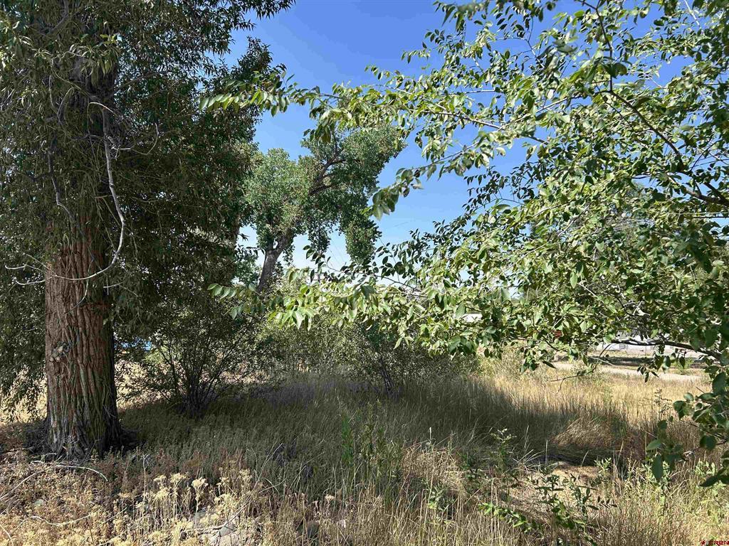 498 Niagara Avenue Property Photo 3