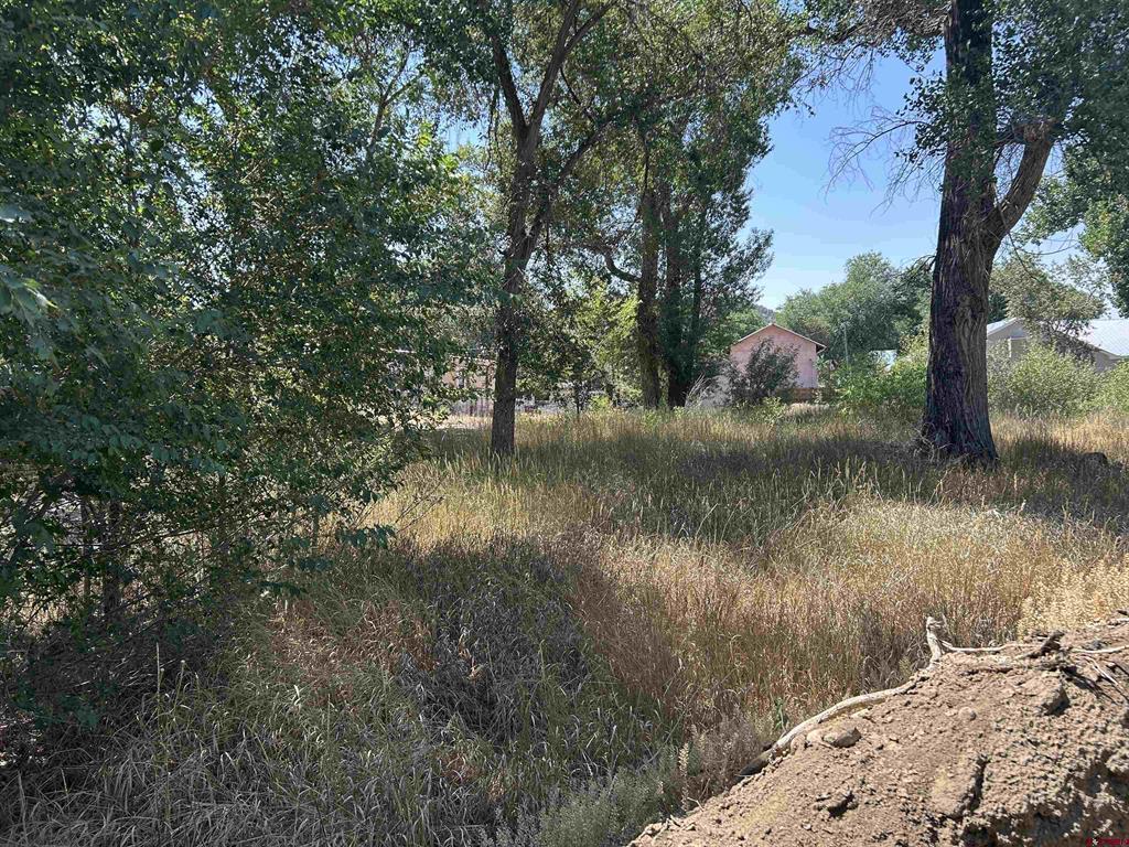 498 Niagara Avenue Property Photo 8