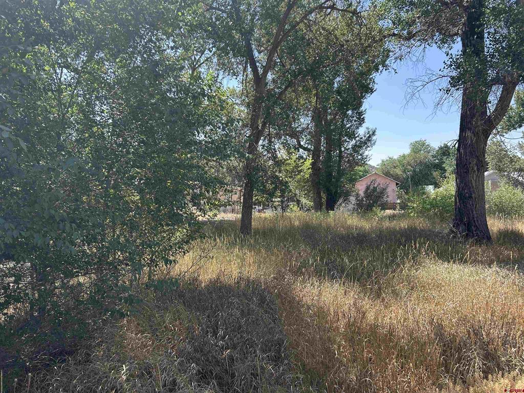 498 Niagara Avenue Property Photo 10