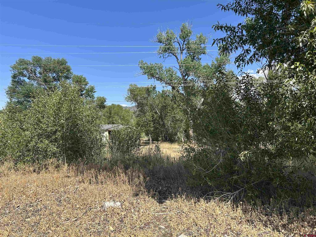 498 Niagara Avenue Property Photo 11