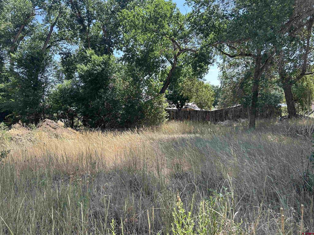 498 Niagara Avenue Property Photo 13
