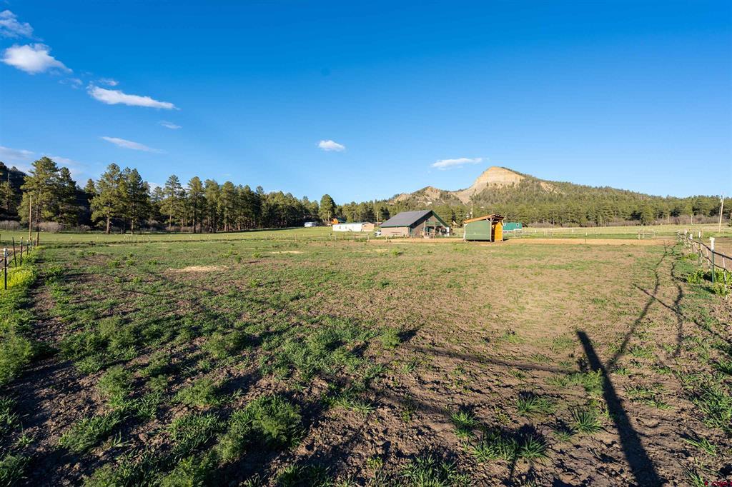 695 Ute Drive Property Photo 24