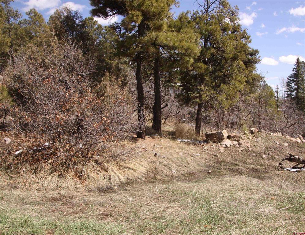 344 Caddy Circle Property Photo 10