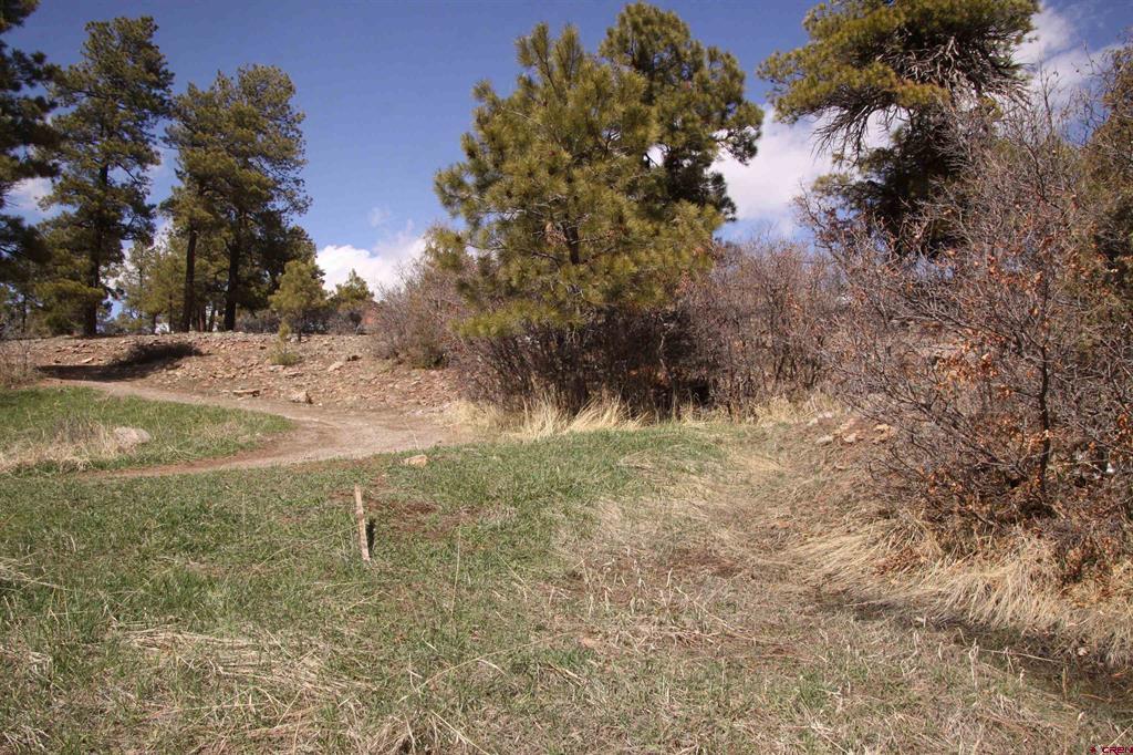 344 Caddy Circle Property Photo 12