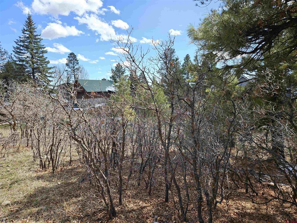 344 Caddy Circle Property Photo 15