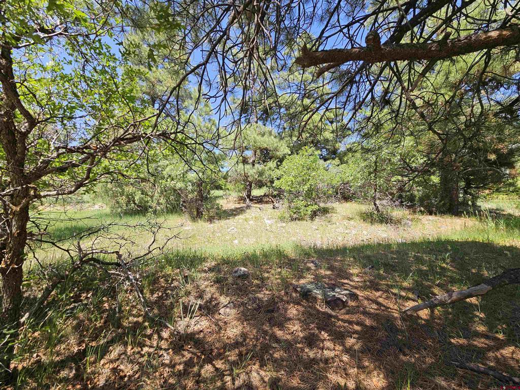 344 Caddy Circle Property Photo 21