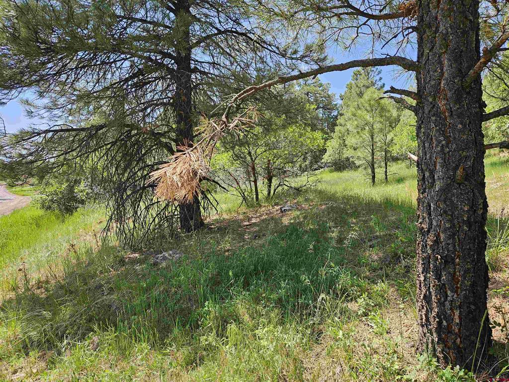 344 Caddy Circle Property Photo 24