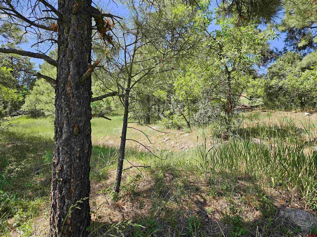 344 Caddy Circle Property Photo 25
