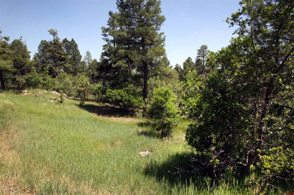 344 Caddy Circle Property Photo 28