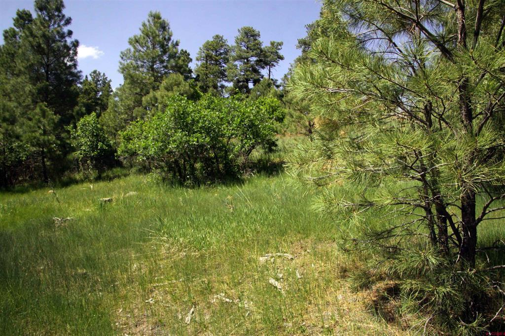 344 Caddy Circle Property Photo 30