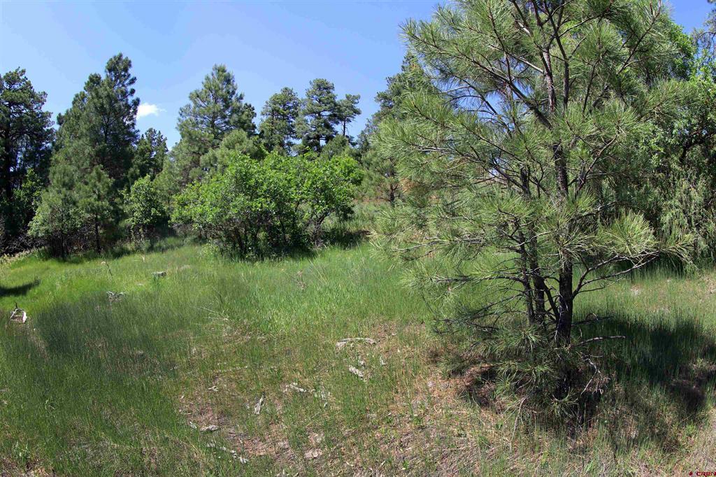 344 Caddy Circle Property Photo 31