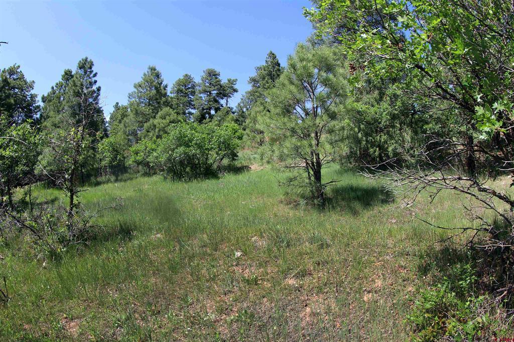 344 Caddy Circle Property Photo 33