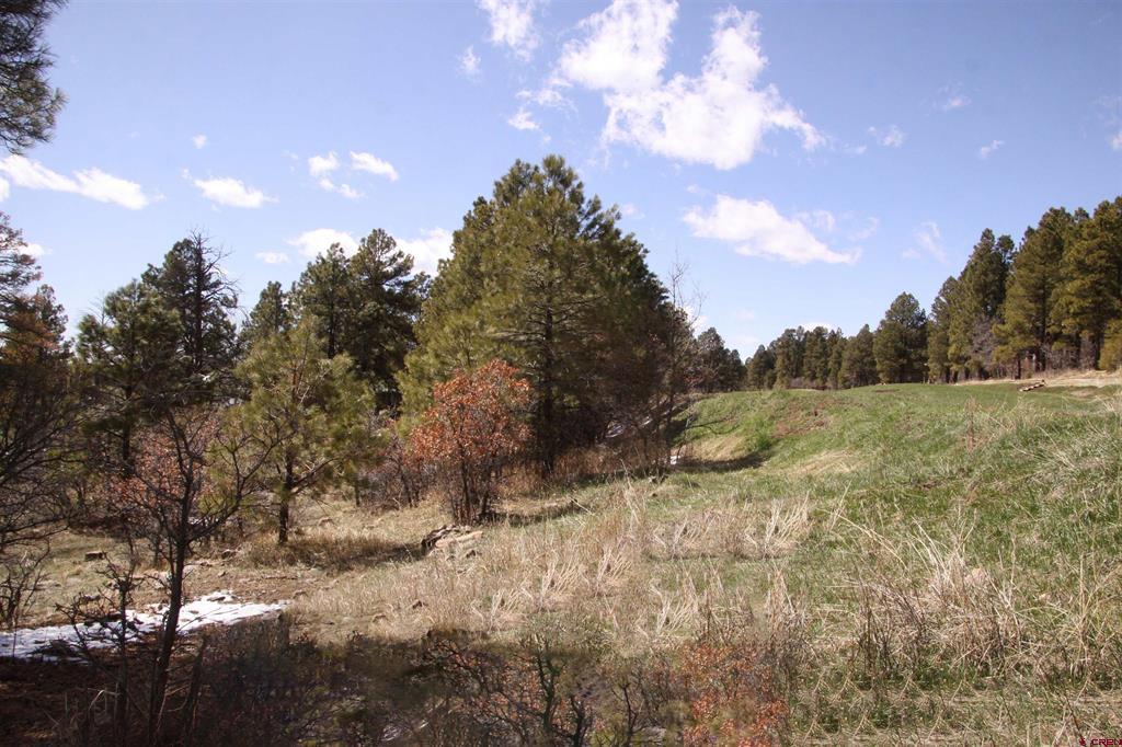 344 Caddy Circle Property Photo 34