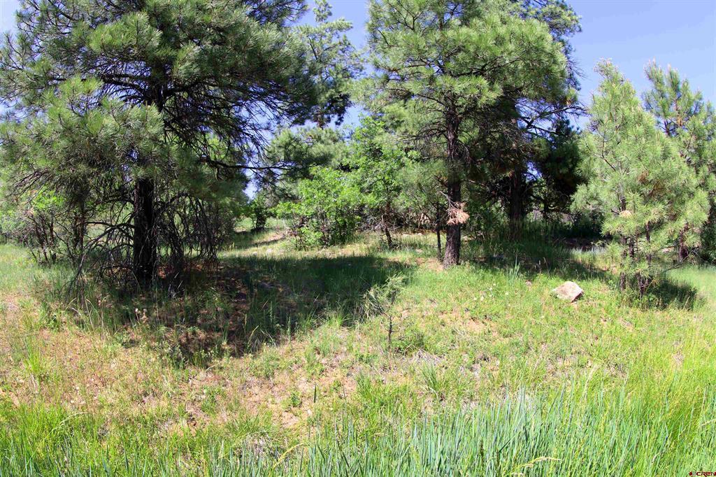 344 Caddy Circle Property Photo 35