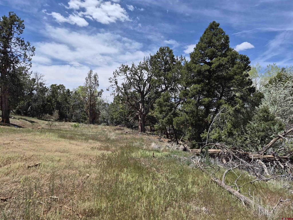 25471 Road T Property Photo 2