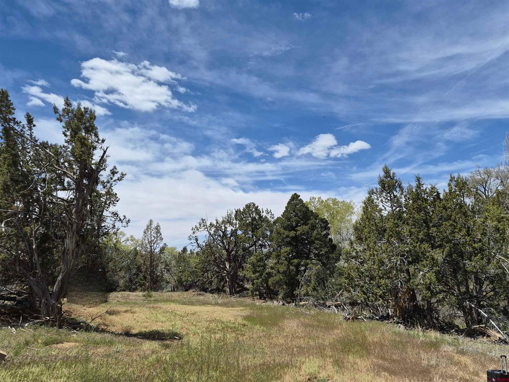 25471 Road T Property Photo 6