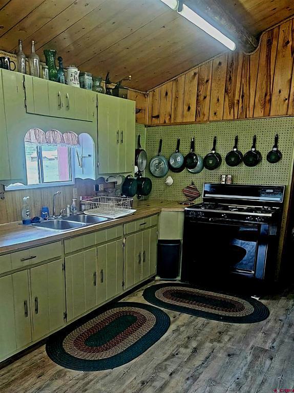 4650 Us Fsrd 516 Cabin #6 Property Photo 13