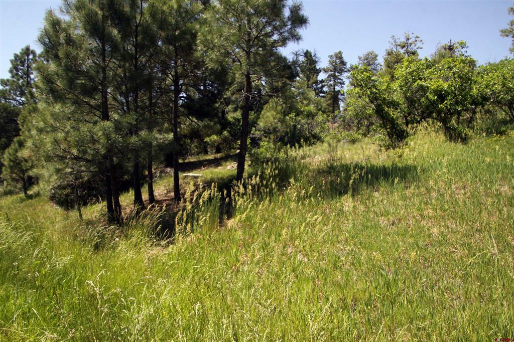 360 Caddy Circle Property Photo 4