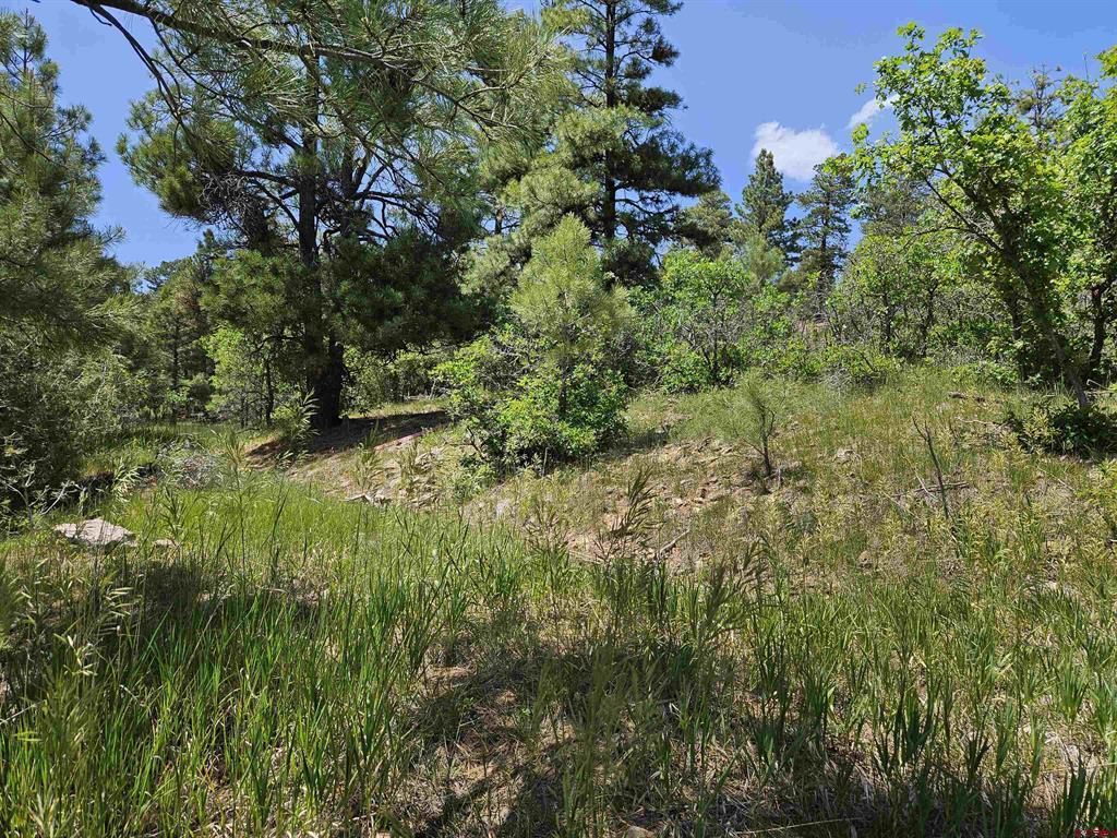 360 Caddy Circle Property Photo 5