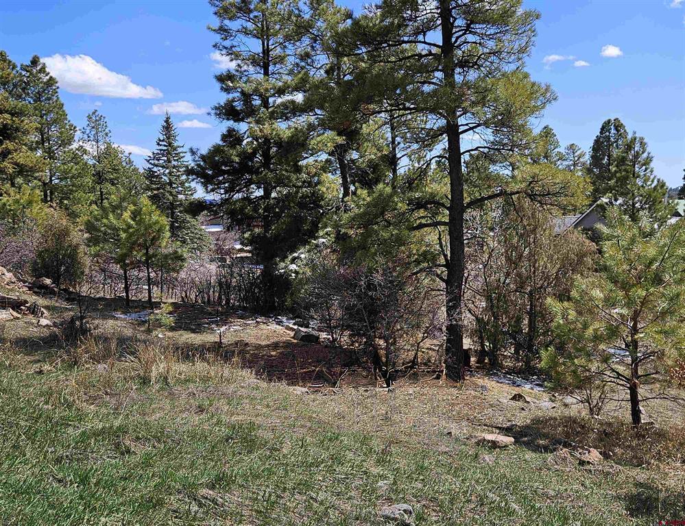 360 Caddy Circle Property Photo 7