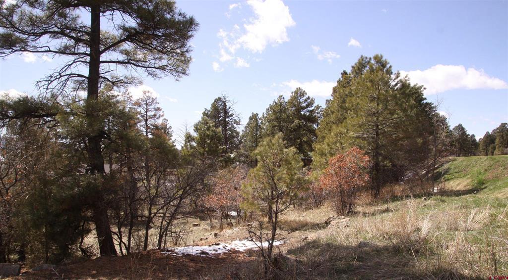 360 Caddy Circle Property Photo 9