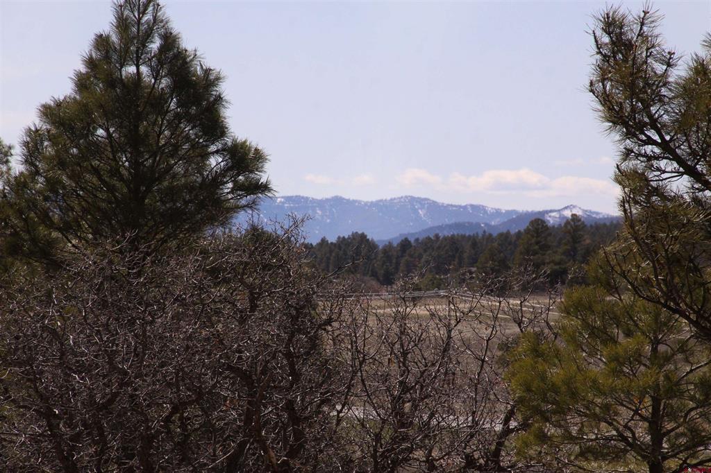 360 Caddy Circle Property Photo 16