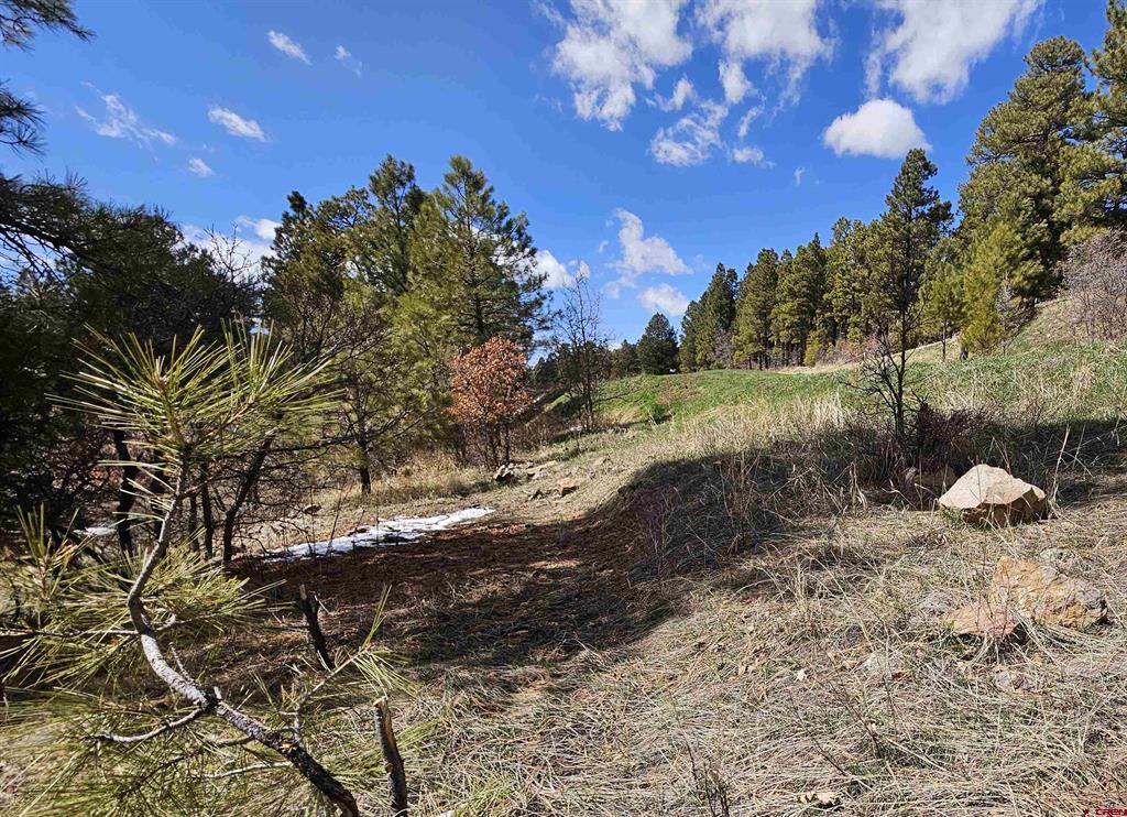 360 Caddy Circle Property Photo 17