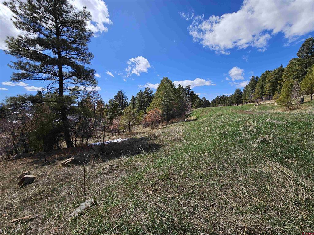 360 Caddy Circle Property Photo 24