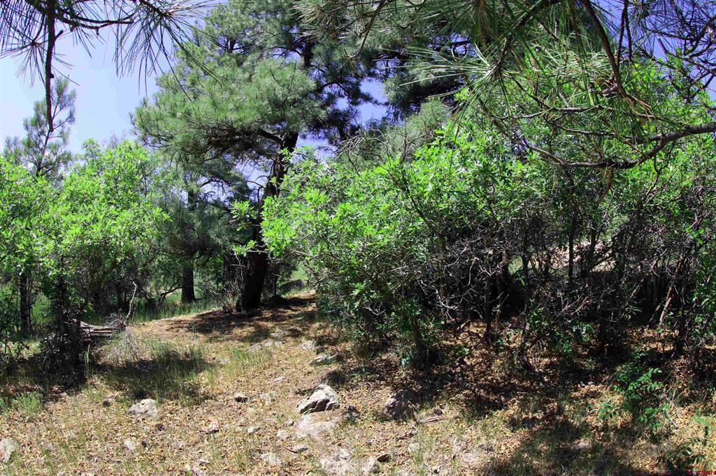 360 Caddy Circle Property Photo 26