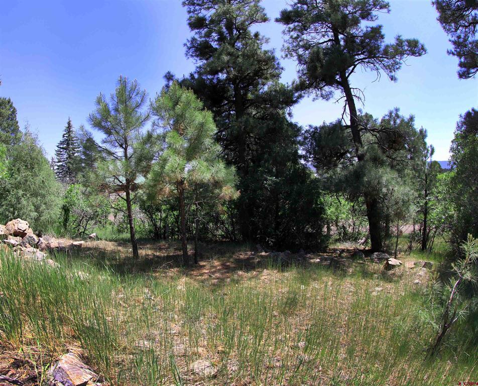 360 Caddy Circle Property Photo 27