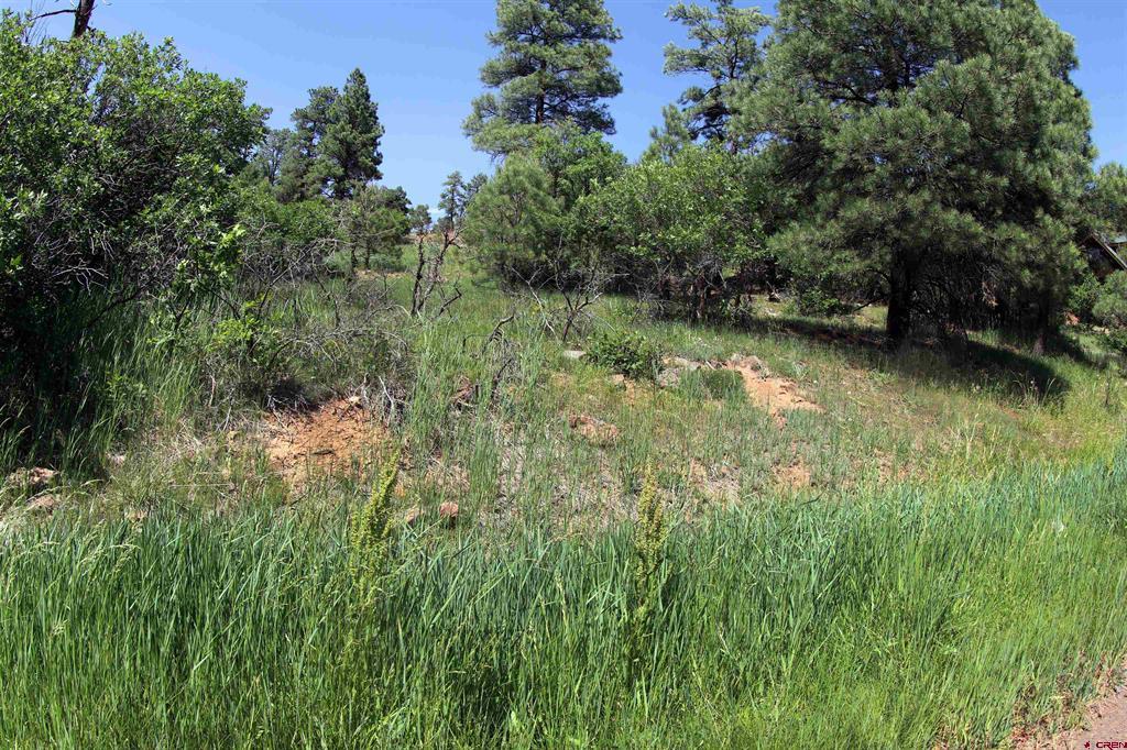 360 Caddy Circle Property Photo 28
