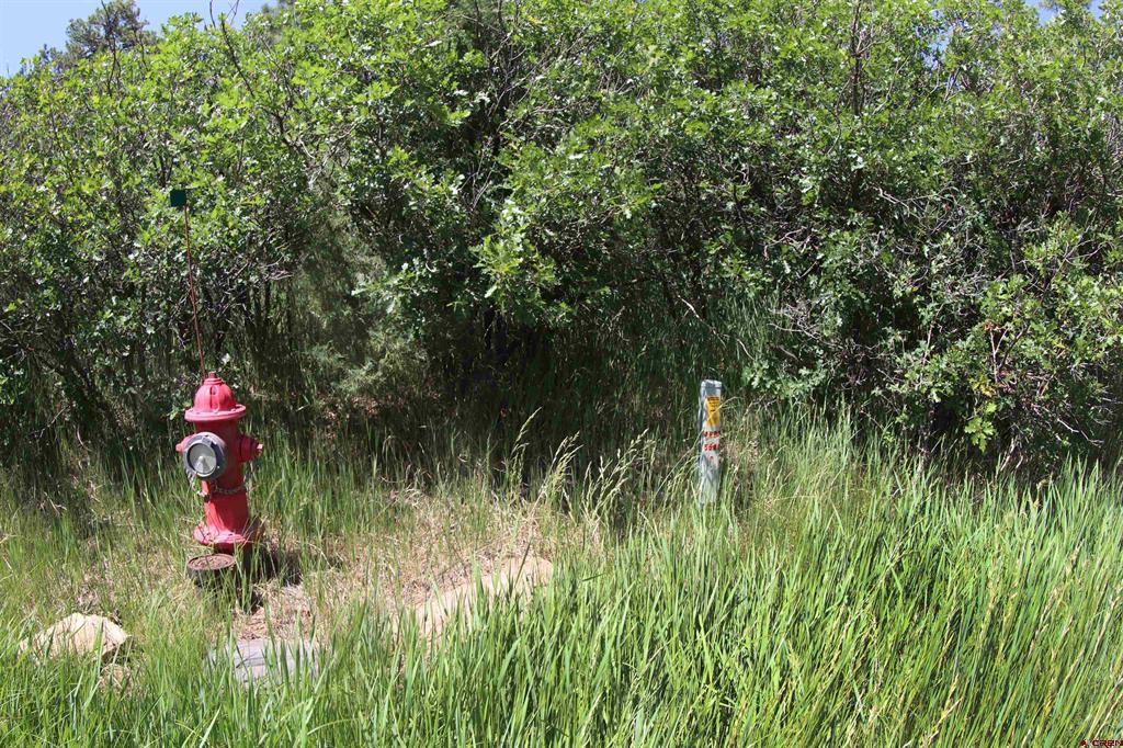 360 Caddy Circle Property Photo 29