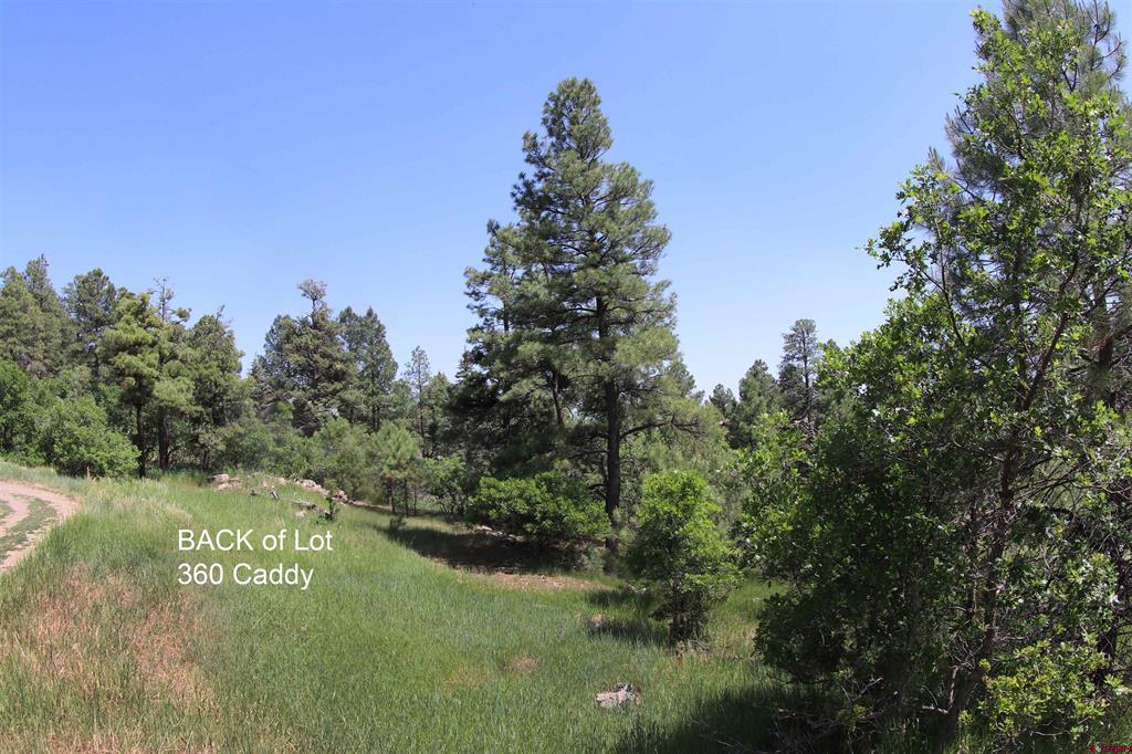 360 Caddy Circle Property Photo 30