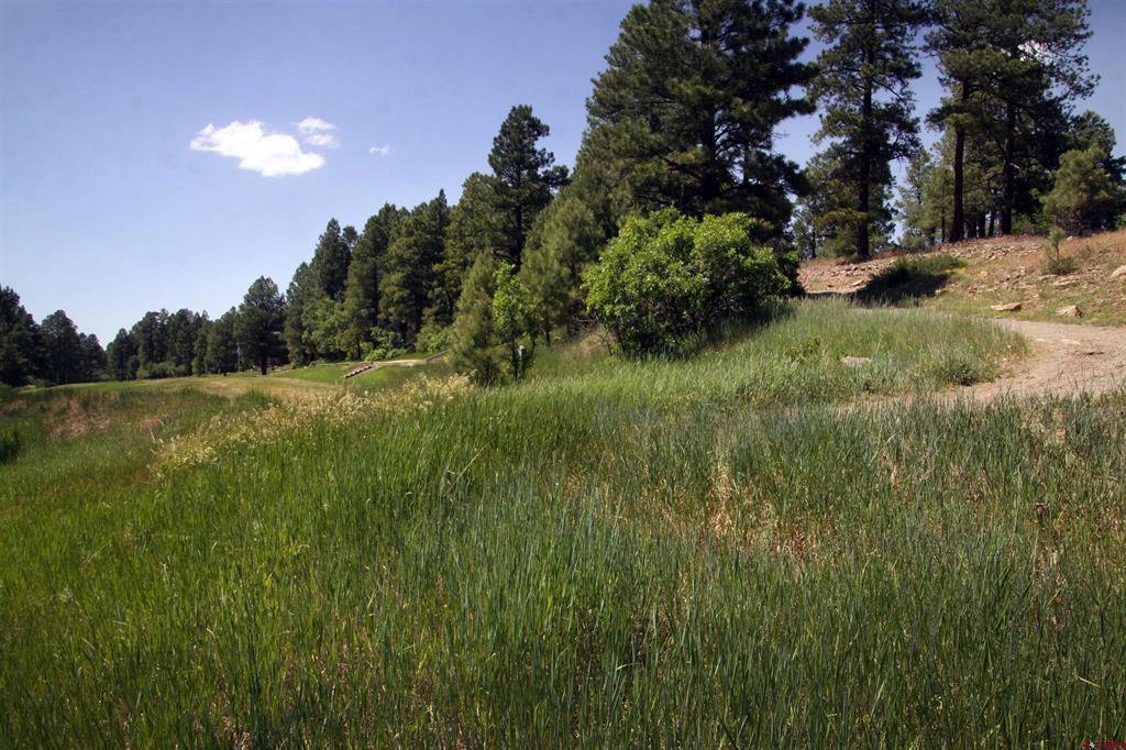 360 Caddy Circle Property Photo 31