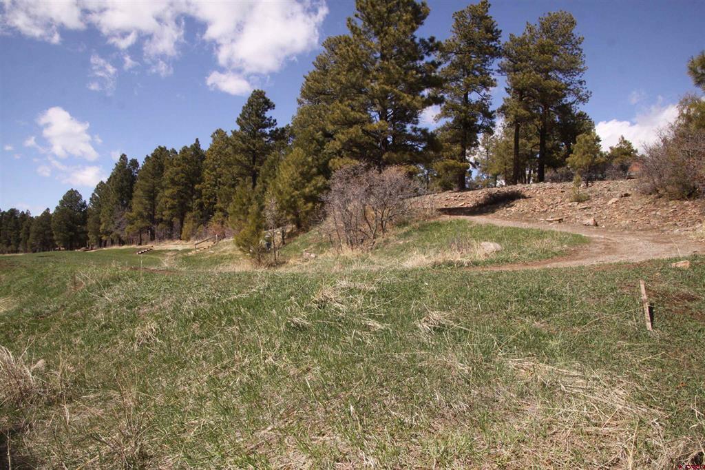 360 Caddy Circle Property Photo 32